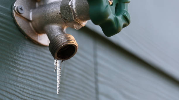 Best Drain Cleaning Services  in Frankston, TX